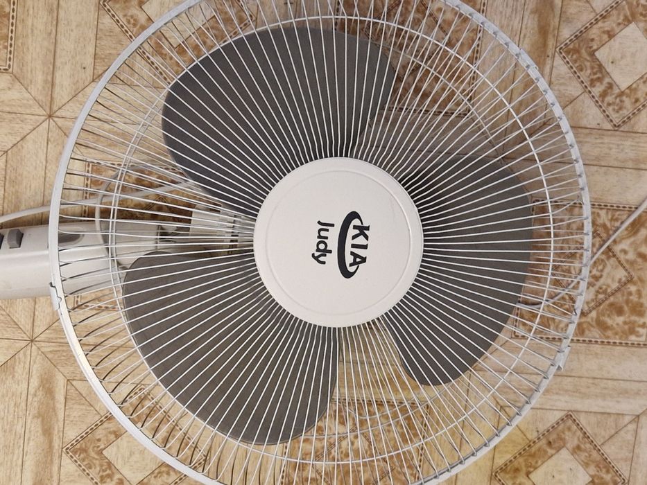 Вентилятор рабочий