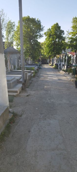 Vand doua locuri de veci in Cimitirul Sf.Vineri