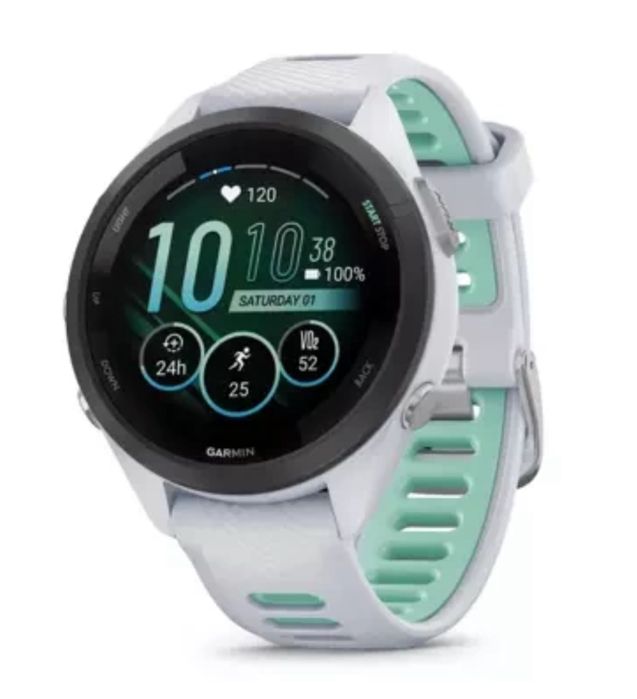 Часы Garmin 265S