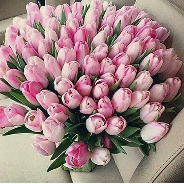 Оптом тюльпаны корпоративным клиентам