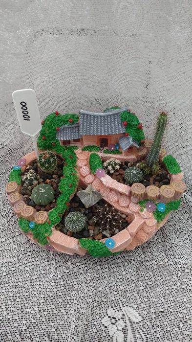 Композиции из суккулентов