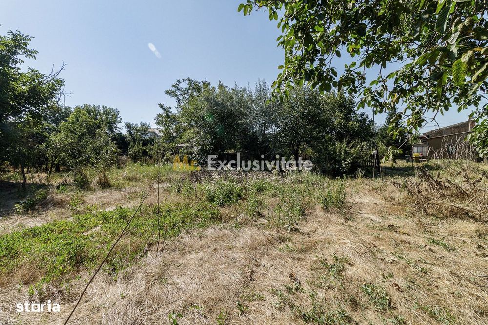 teren 3889 mp Domnesti Primarie