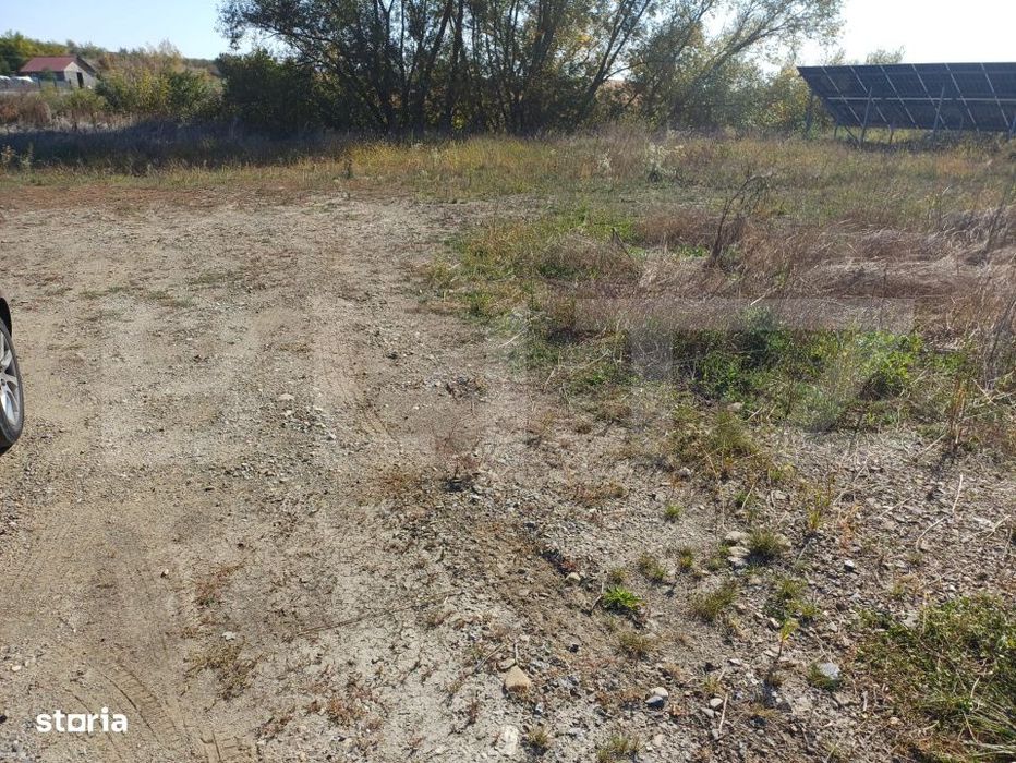 Teren intravilan, 38 ari, zona Sud - Liteni