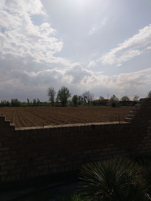 Комерческая помещение Ташкентская область чиназ 1,8 га.