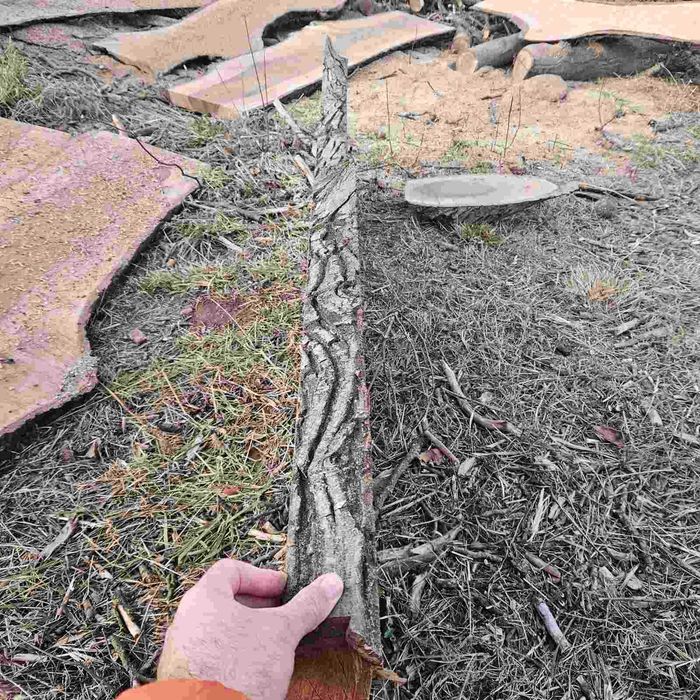 Орех - дървен материал