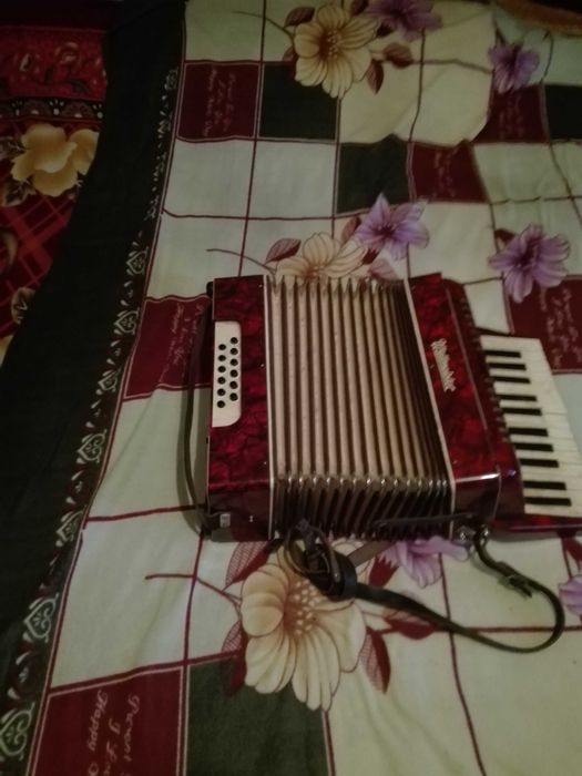 Акордеон-Uleltmeeister