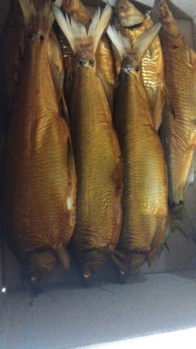 Пеледь горячего копчения только опт