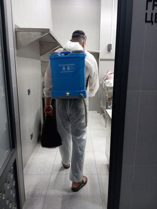 Дезинфекция от всех насекомых..