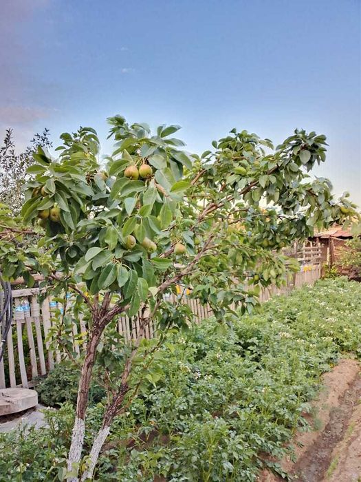 Продам коттедж на 91 кв