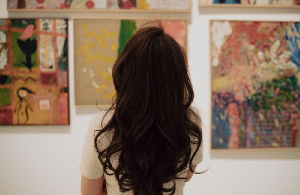 Canon power shoot sx740 hs