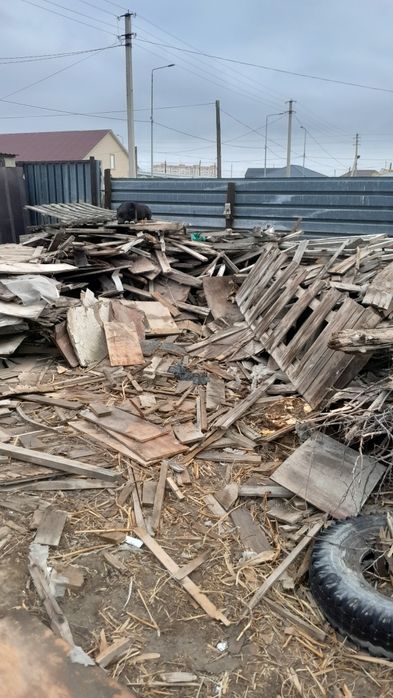 Ағаштар тегін тегін тегін