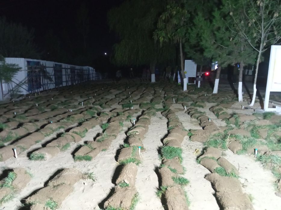 Газоны Полиной система ландшафтный дизайн