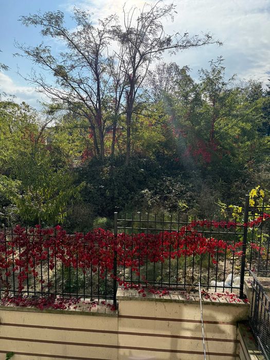 Двустаен апартамент в гр.Бяла