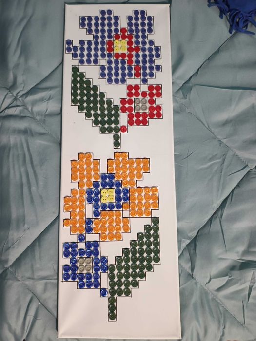 апликации шевици