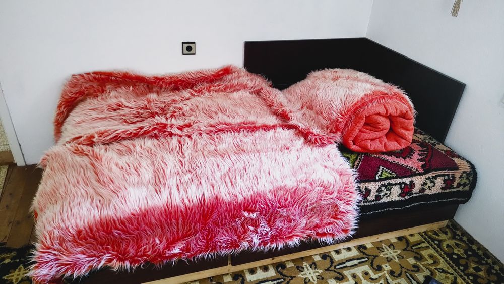 Болна дългокосместа в два цвята - розова, зелена, оранжева.