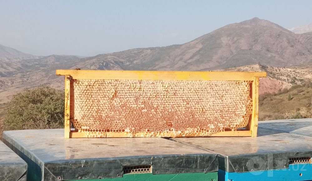 Горные соты натуральные