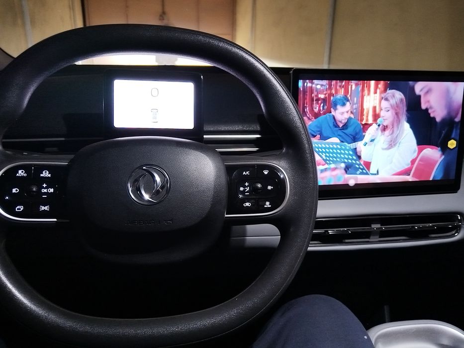 Dongfeng nammi 01