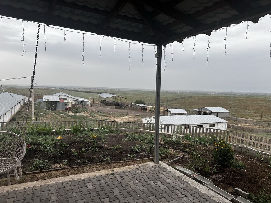 Фазенда для КРС и птицы