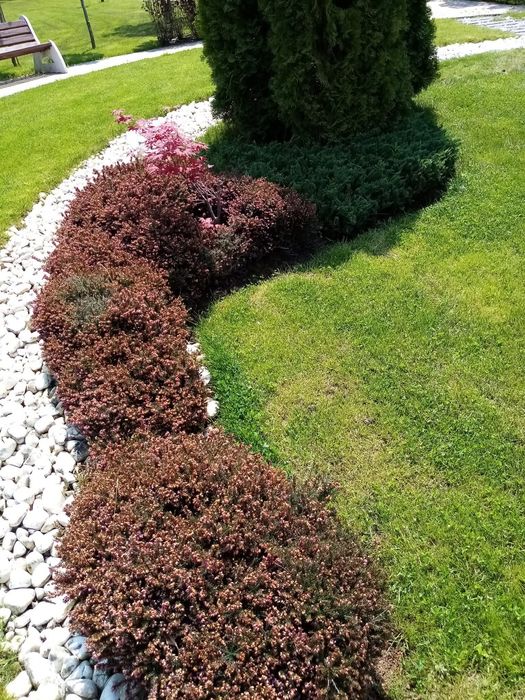 Озеленяване, косене, поддръжка на тревни площи