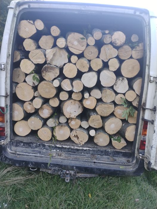 Lemne de foc esențe tare