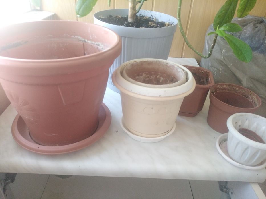 Горшки цветочные  продам.