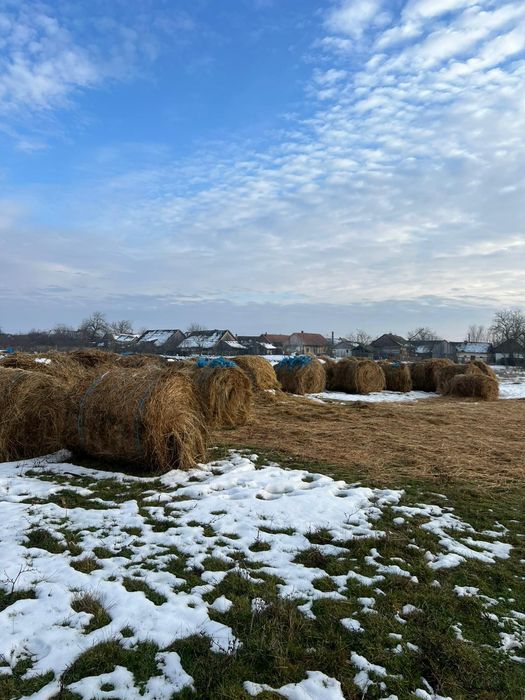 Vând fân ,lucernă