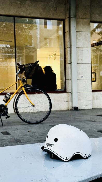 Bicicletă urbană belgiana unisex, recondiționată integral la COBI Custom Bicycle