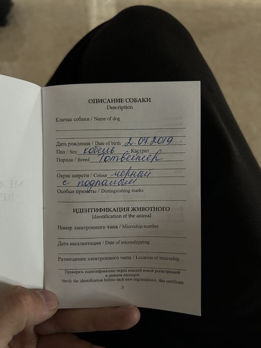 Продам ротвейлера  в хорошие руки