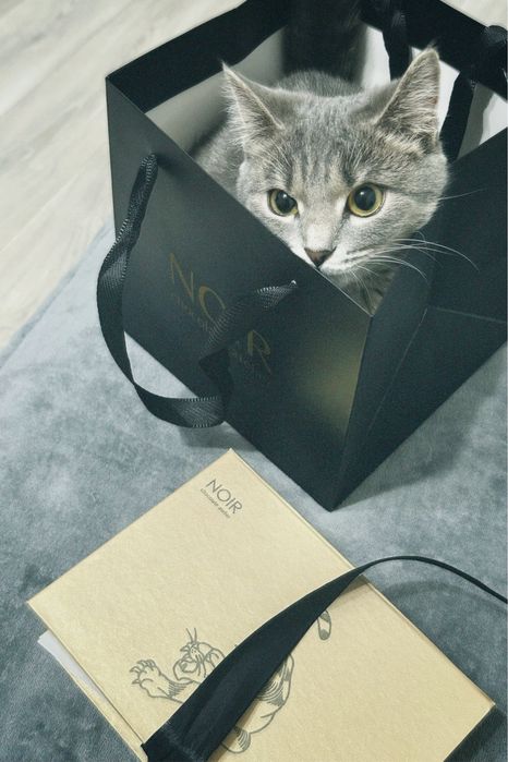 Кошечка в добрые руки