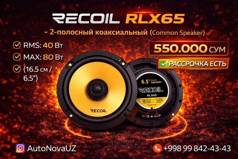 Nasiya | Recoil RLX65 16см 40Вт коаксиальные динамики Рассрочка