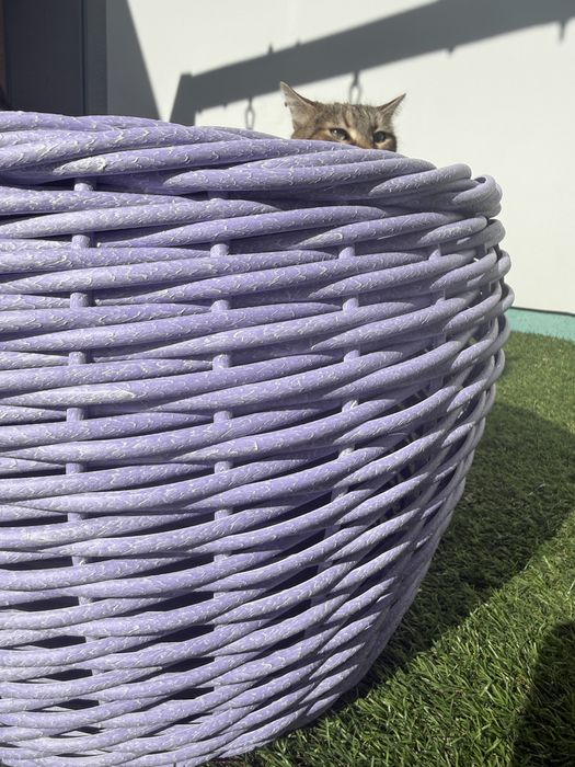 Кашпа от ратан.