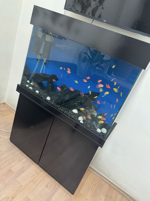 Akvarium sotiladi