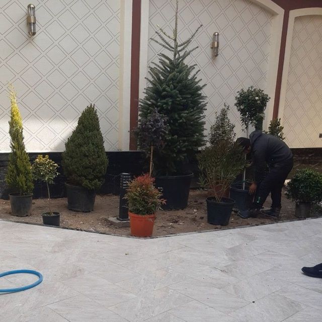 Газон ландшафт дизайн