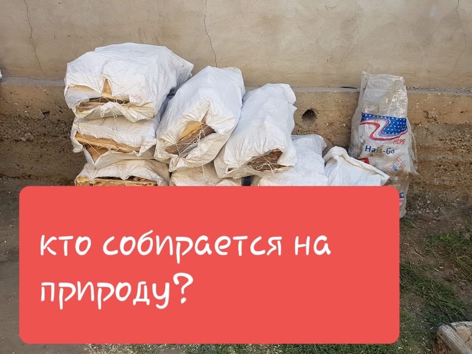 Дрова для шашлыка. Карагач  в мешках..