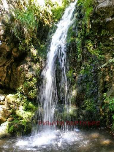 Продава се Парцел в Трън - 2101 кв.м за 9 €/кв.м - Снимка #5