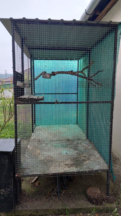 Vind voliera papagali mari sau mici sau si pt canari