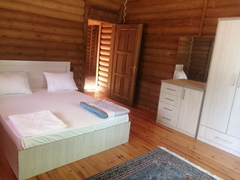 Дача в Чимгане природа