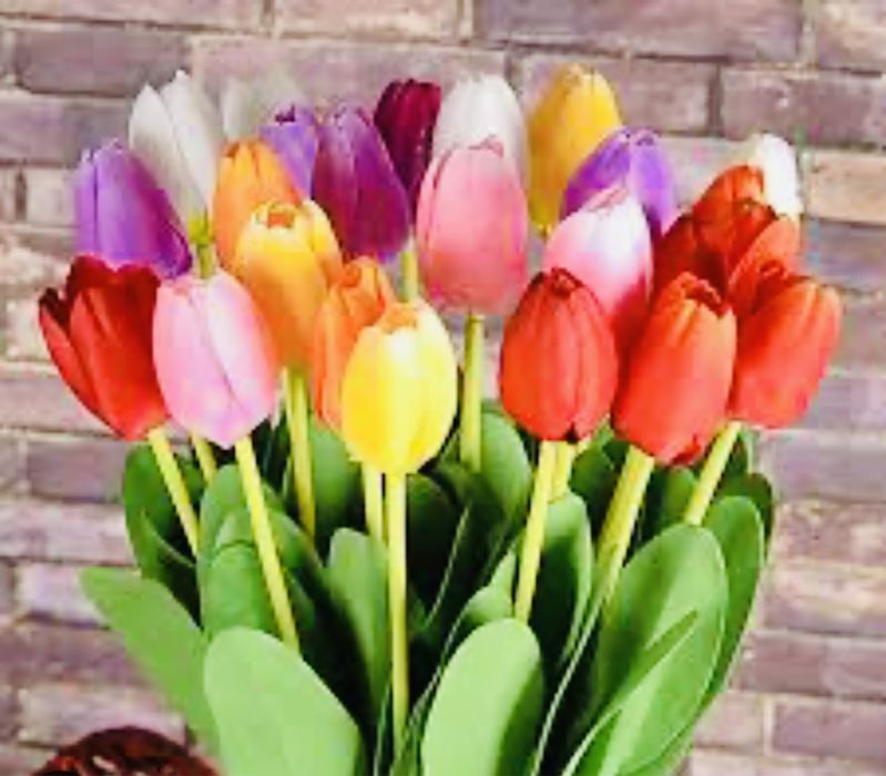 Реалистичные цветки тюльпана