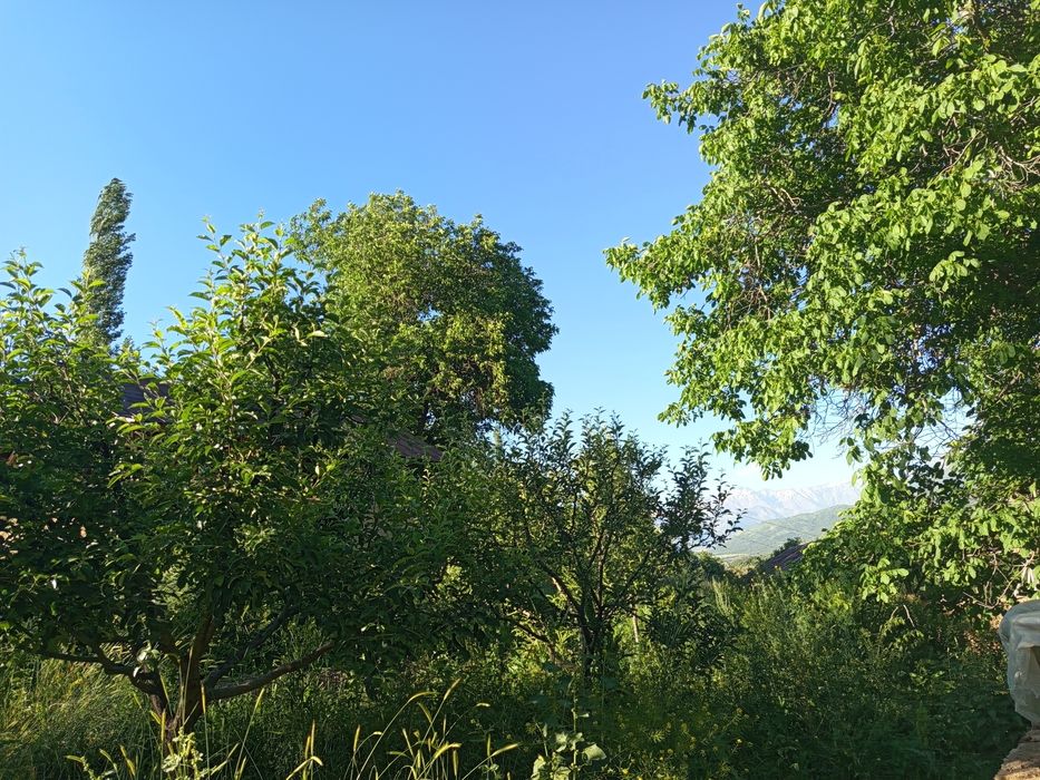 Участка сотилады