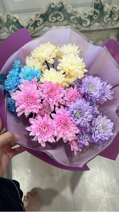 продам цветы красивые