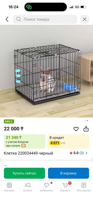 Декоративные кролики