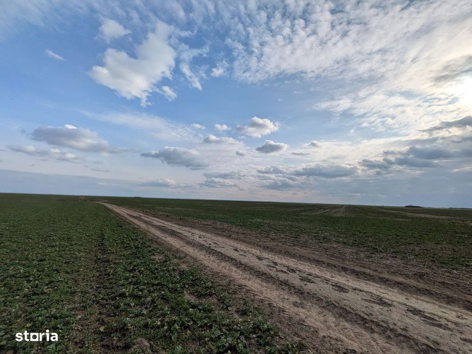 Loturi intravilane 300 mp, la 10 km de Centura Sud București