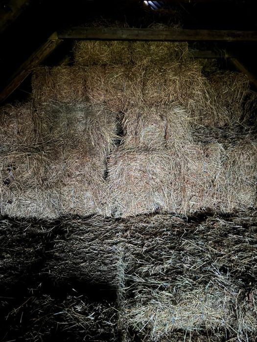 Vand baloti de lucerna