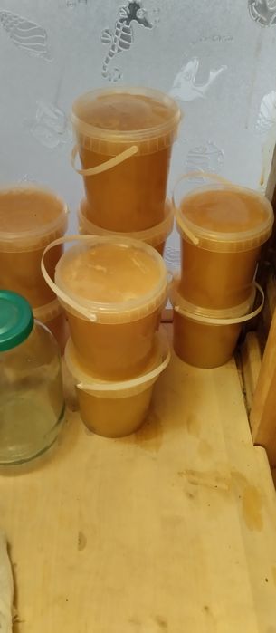 Продам высокогорный мед