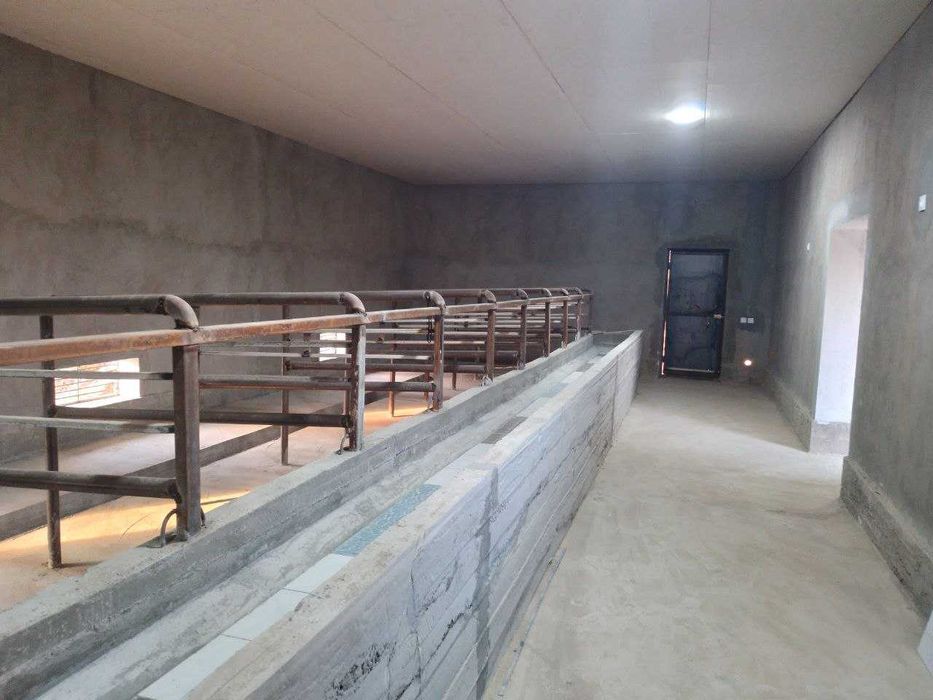 тайёр Ферма Ангарлари бн 36 сотих+26 изнес учун