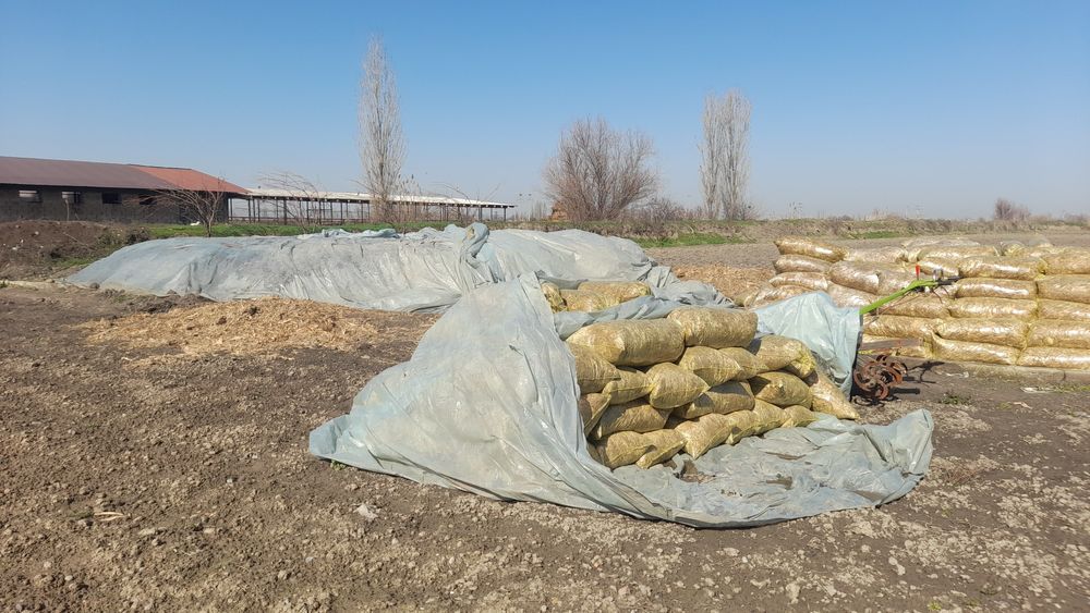 Silyos bor 750 so'm 50 tonacha