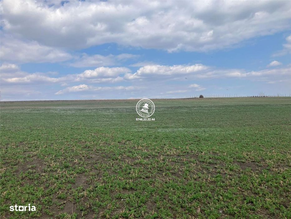 Teren de vanzare Comuna Movileni