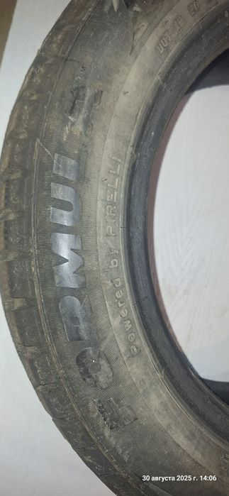 Два баллона, зимние,10000.