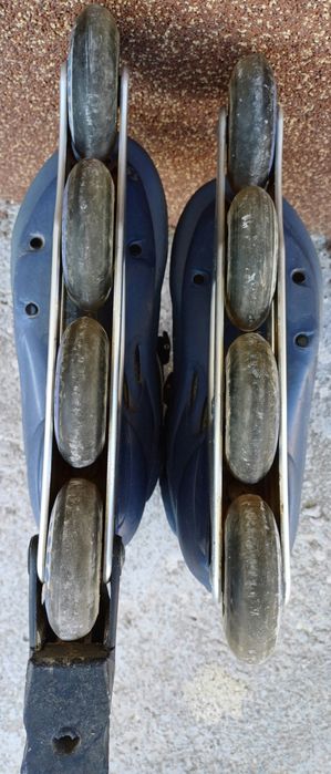 Role Salomon Energyzer