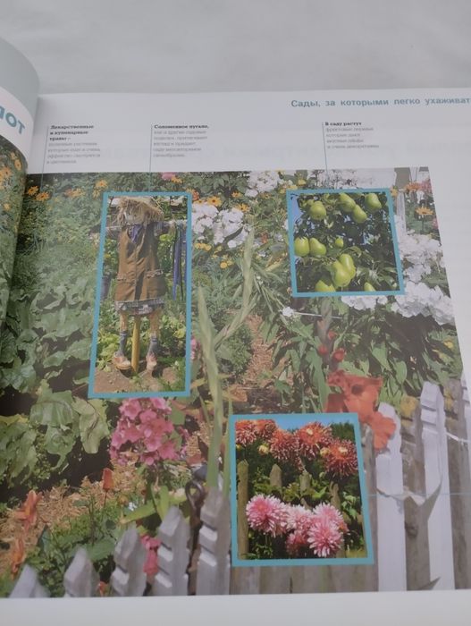 Книга для сада с иллюстрациями